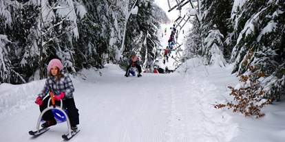 Skiregion - Deutschland - Natur-Rodelbahn mit Rodellift auch bei Flutlicht - Postwiesen Skidorf Neuastenberg