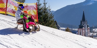 Skiregion - Steiermark - Rodeln - Skigebiet Mariazeller Bürgeralpe