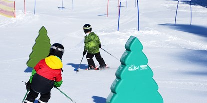 Skiregion - Pongau - Fichtelland - Skischaukel Radstadt - Altenmarkt