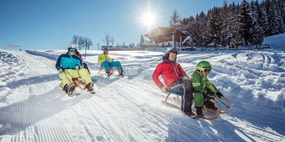 Skiregion - Österreich - Rodelspaß für Klein & Groß - Ski Juwel Alpbachtal Wildschönau