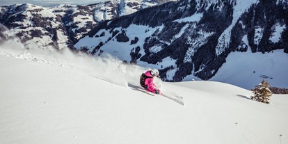 Skiregion - Tiroler Unterland - Freeriden am Wiedersberger Horn - Ski Juwel Alpbachtal Wildschönau