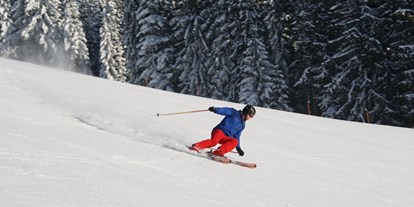 Skiregion - Österreich - Carven am Familienschberg St. Jakob im Walde - Familienschiberg St. Jakob im Walde
