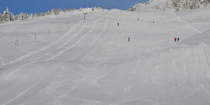 Skiregion - Österreich - Skigebiet Emberger Alm