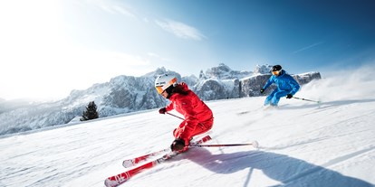 Skiregion - Trentino-Südtirol - Skigebiet Alta Badia