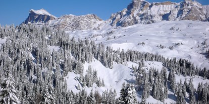 Skiregion - Italien - Skigebiet Alta Badia