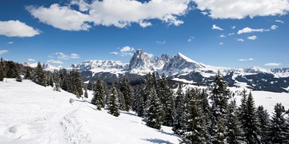 Skiregion - Italien - Skigebiet Dolomites Val Gardena/Gröden - St. Christina - St. Ulrich - Wolkenstein