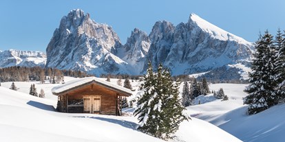 Skiregion - Trentino-Südtirol - Skigebiet Seiser Alm