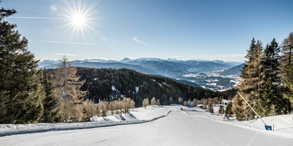 Skiregion - Italien - Ski- & Almenregion Gitschberg Jochtal