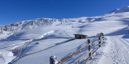 Skiregion - Trentino-Südtirol - Skigebiet Ratschings-Jaufen