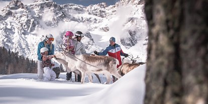 Skiregion - Südtirol - Bozen - Skigebiet 3 Zinnen Dolomiten