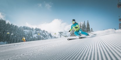 Skiregion - Südtirol - Meran - (c) Kottenstötter - Skigebiet Ladurns