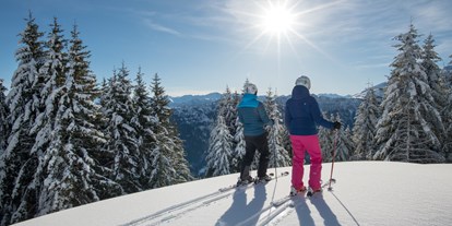 Skiregion - Funpark - Pizol - Bad Ragaz - Wangs