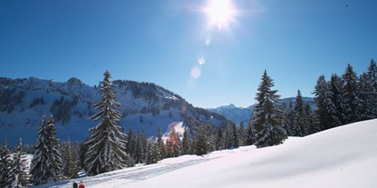 Skiregion - Deutschland - Skigebiet Balderschwang