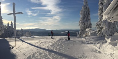 Skiregion - Deutschland - Almberg mit tollem Ausblick - Skigebiet Mitterdorf
