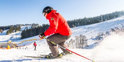 Skiregion - Deutschland - Skiliftkarussell Winterberg